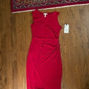 NEW with tags Leith Dress
